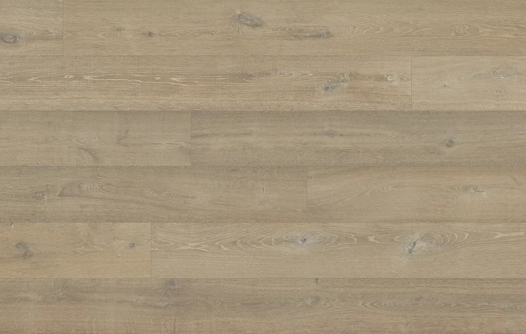 Misty TruNorth Collection By Fuzion