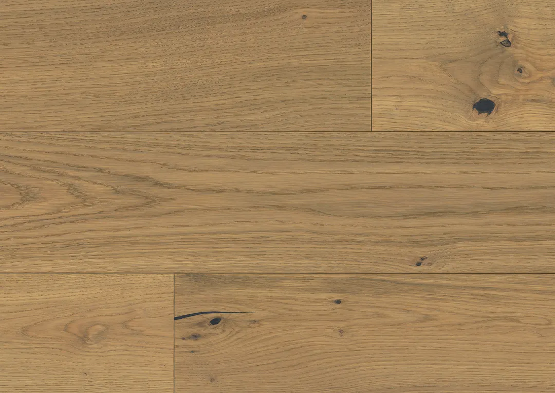 Ocean Bluff Coastline Collection By Fuzion