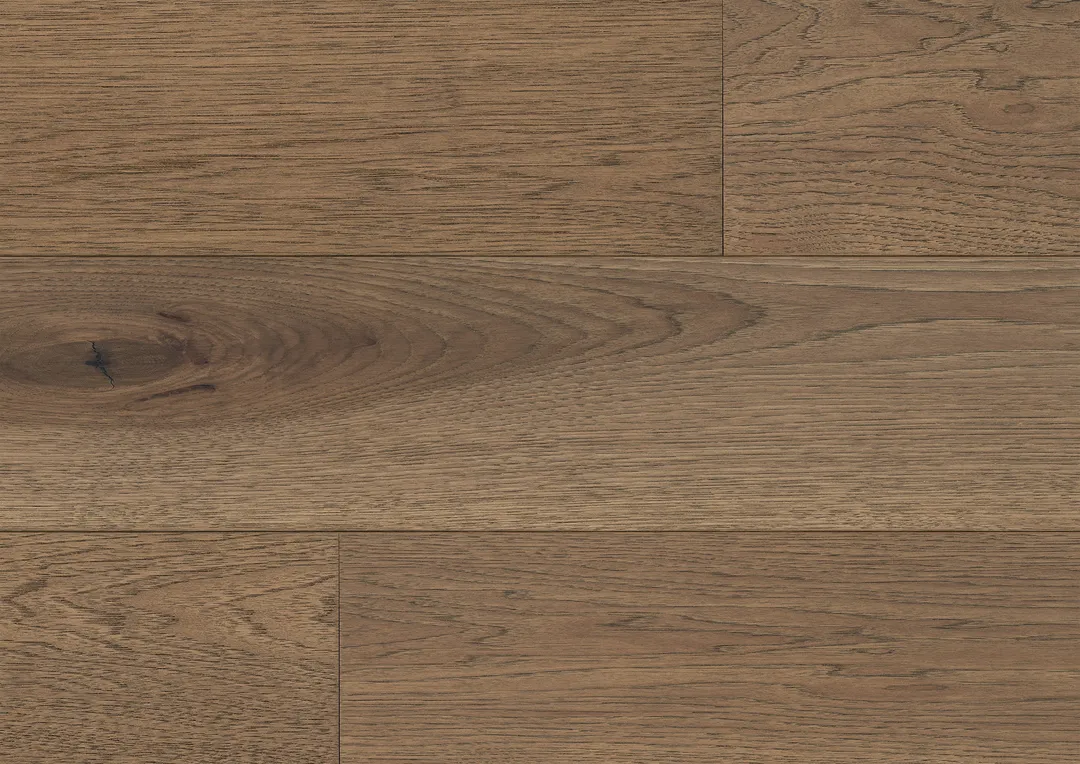 Fuzion Scribe Nouveau from Renaissance Collection