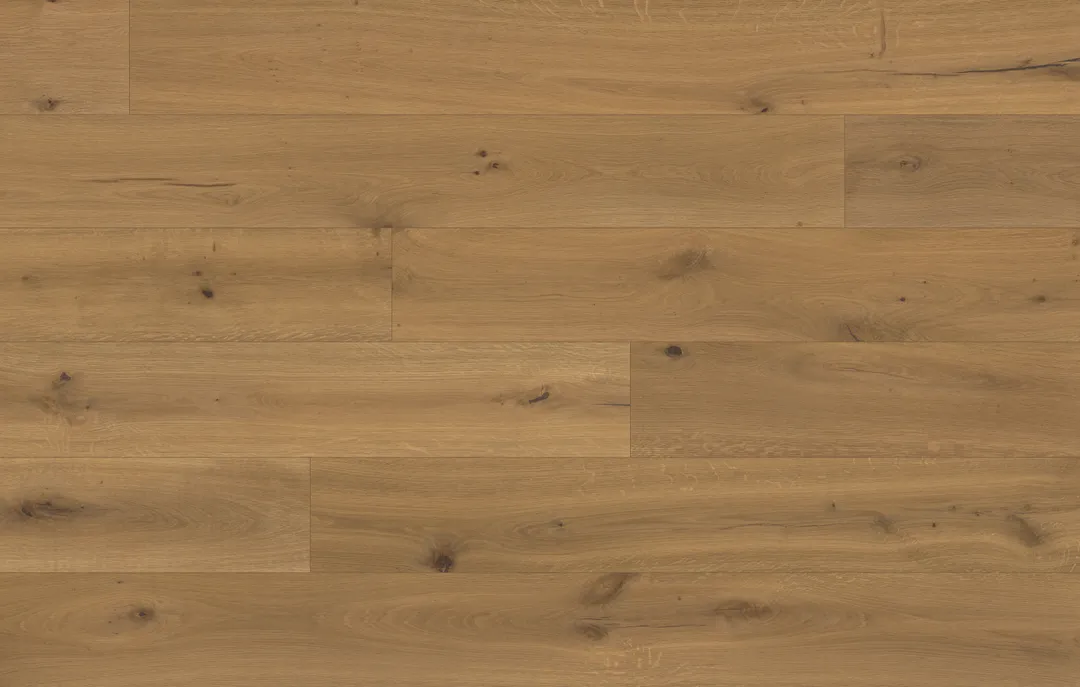 Shadow TruNorth Collection By Fuzion