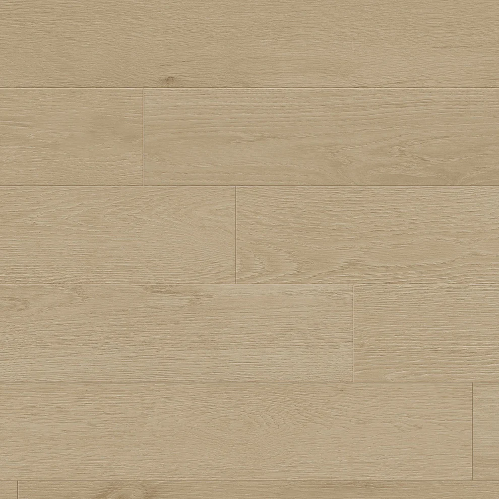 TCN101 Oyster American Oak By Toucan