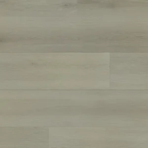 Cathedral Grey #2816 By Beaulieu