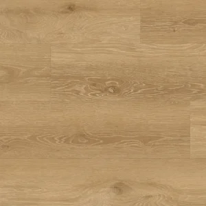 Forest Timberline Collection By Fuzion