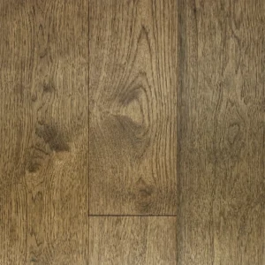 Forest Trail American Hickory By Origins