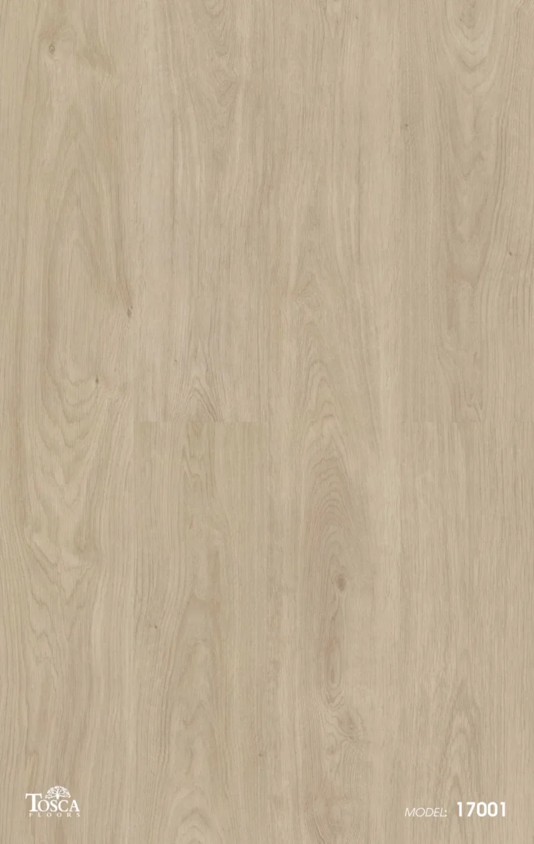 17001 Laminate Floor By Tosca