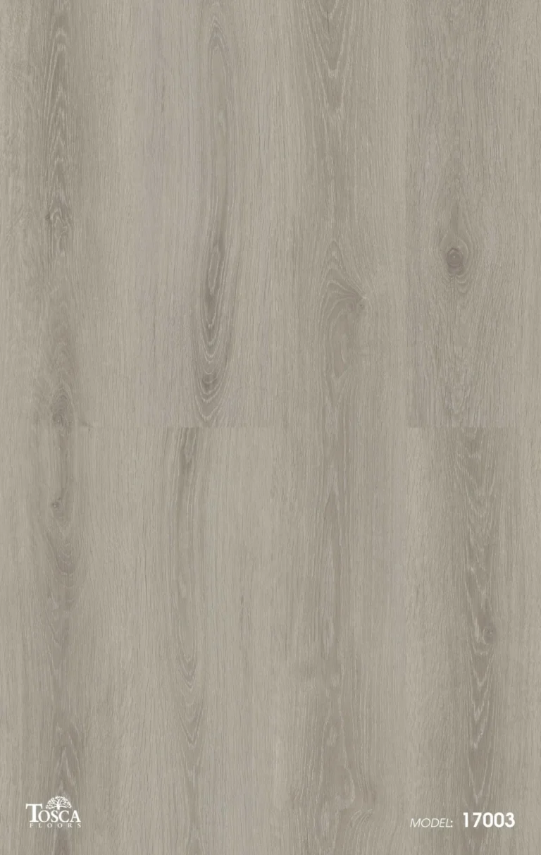 17003 Laminate Floor By Tosca