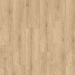 Muson Authentic Horizon By 1867