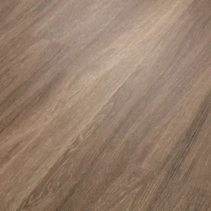 Brussels 00235 By Shaw Floors