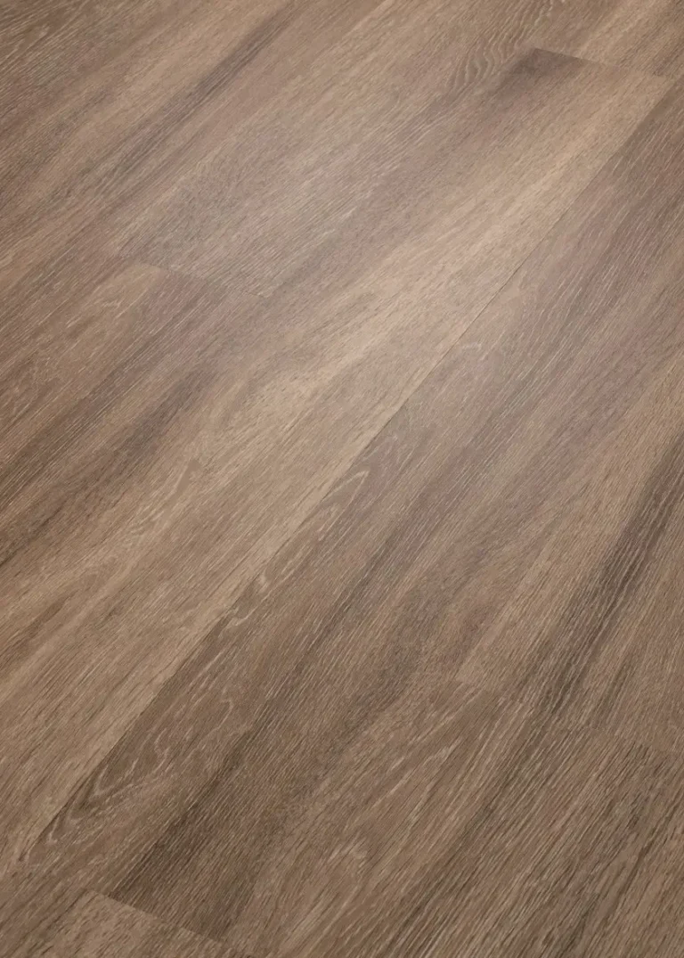 Brussels 00235 By Shaw Floors