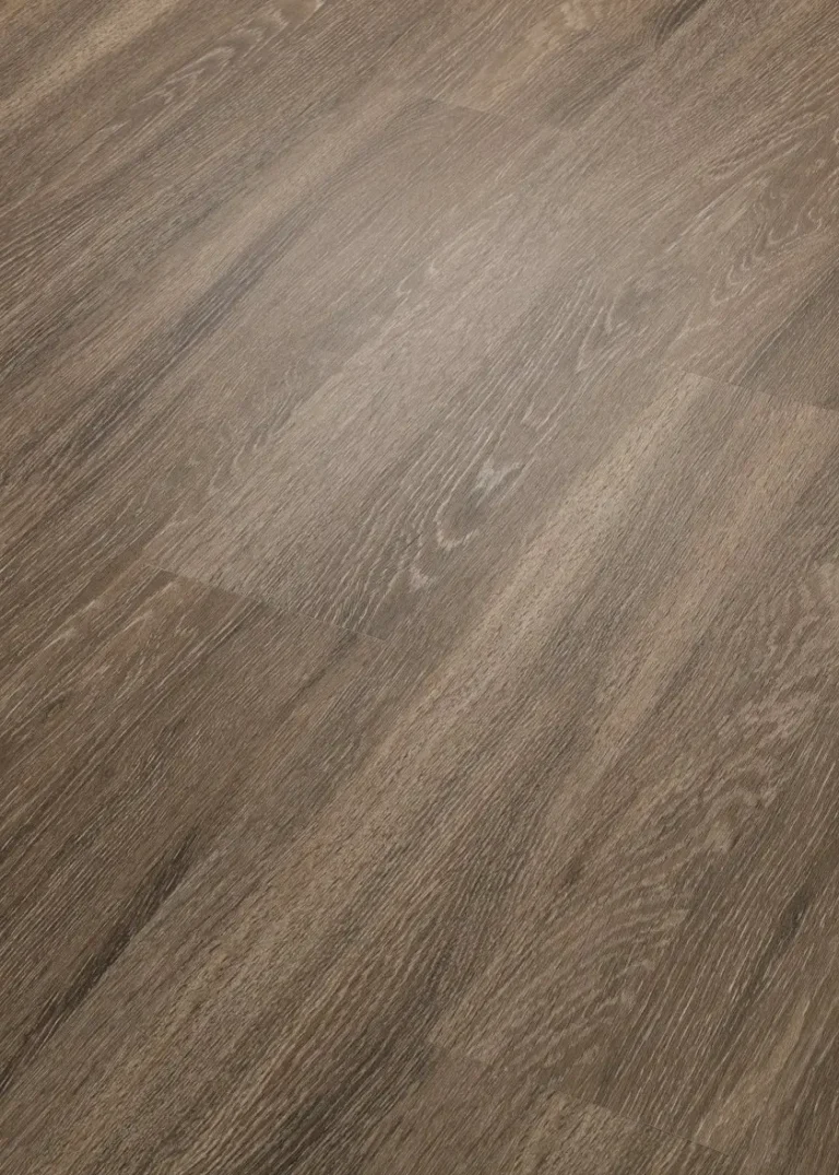 Seattle 00574 By Shaw Floors