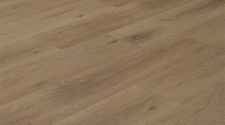 EC81108 Carnation Harmony Evolved Series By Unifloor