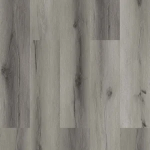 Saguaro Marvelous Collection By Vizion