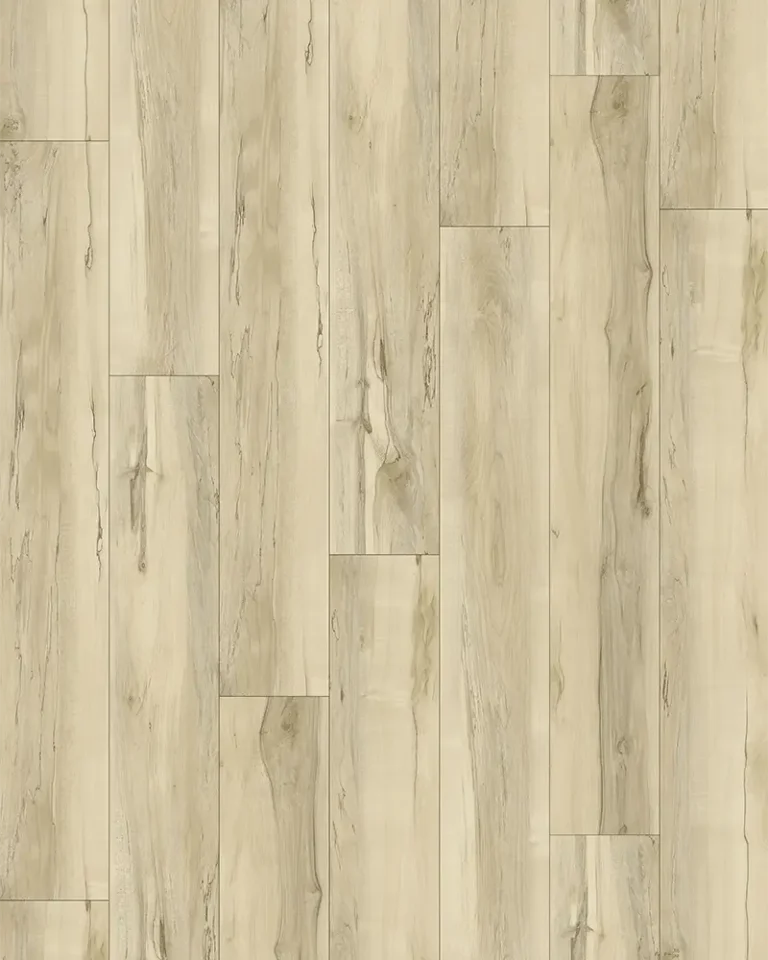 Grassland Marvelous Collection By Vizion