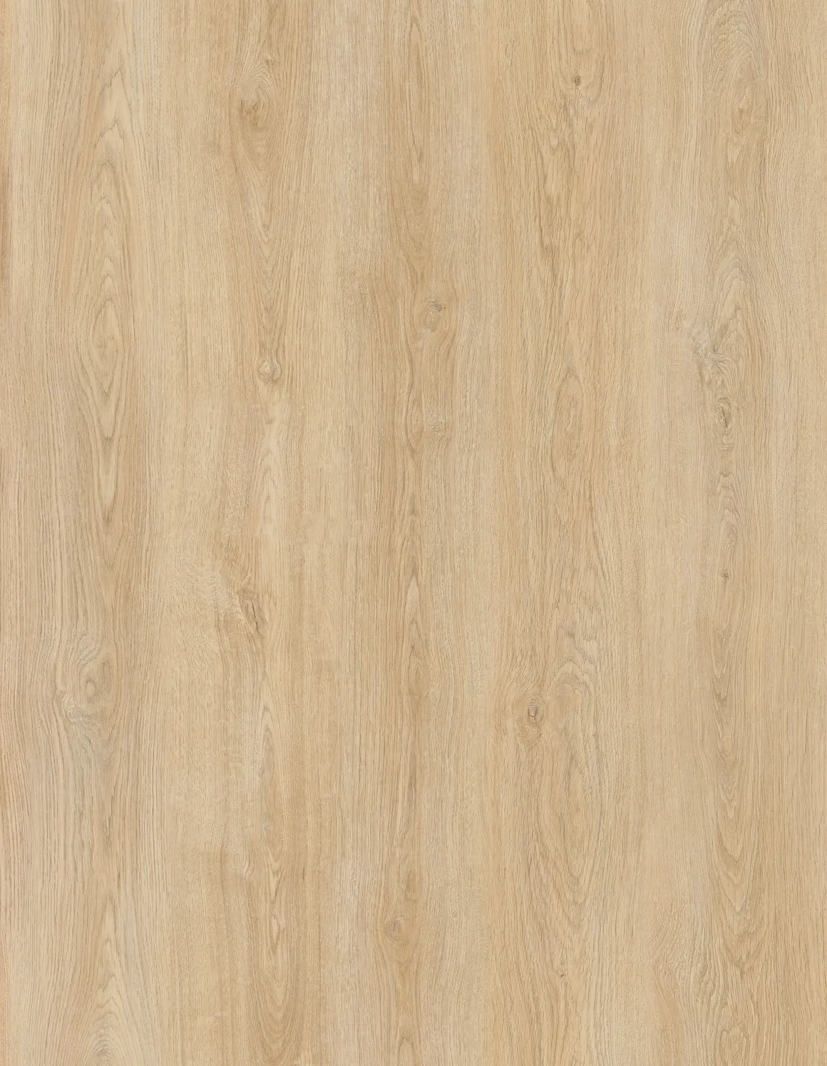PS107 Oatmeal Origin Collection By Pangol - Image 3