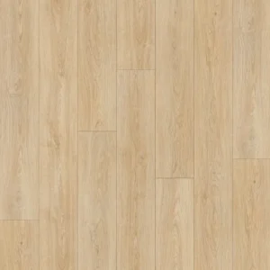 PS107 Oatmeal Origin Collection By Pangol