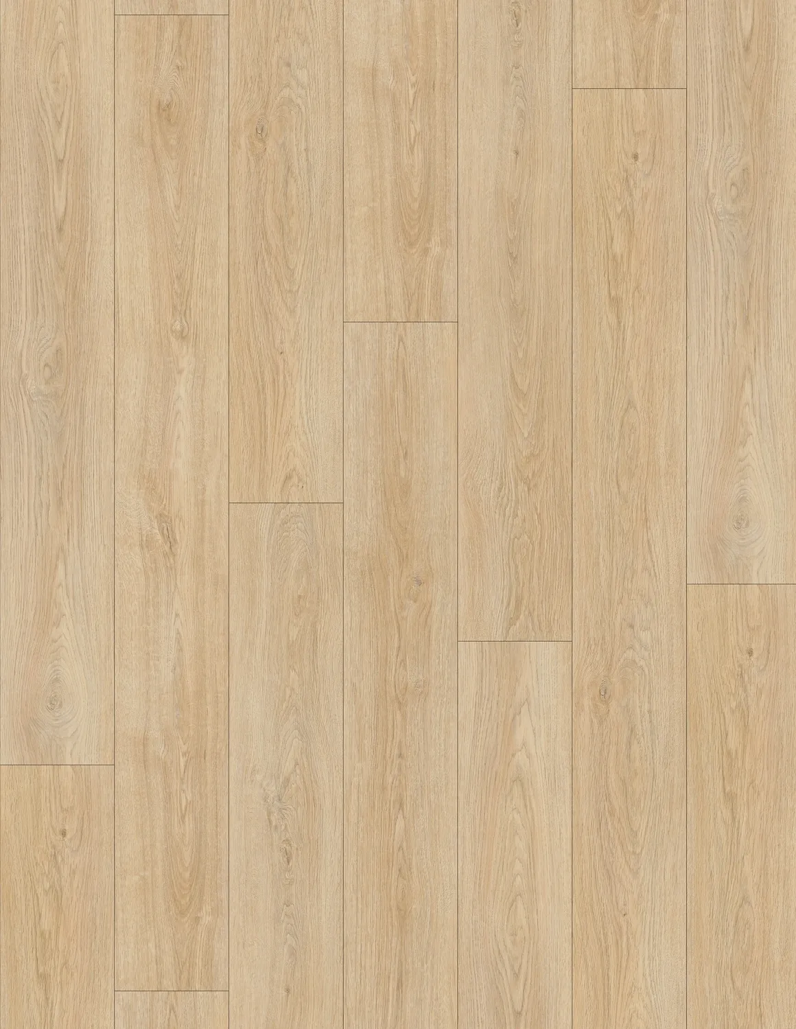 PS107 Oatmeal Origin Collection By Pangol
